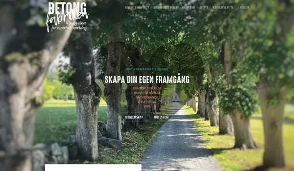 Tr&auml;dall&eacute; med grusv&auml;g och soligt v&auml;der