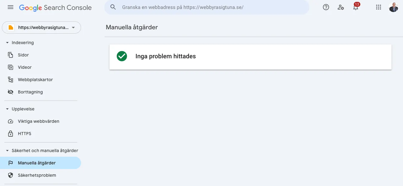 Google Search Console inga problem hittades meddelande