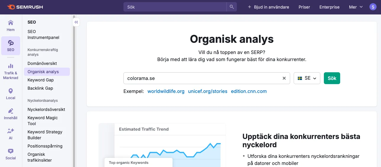 SEMrush organisk analys dashboard