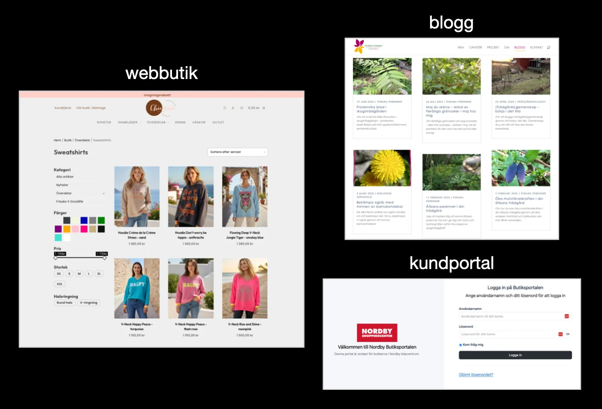 Skärmdumpar av webbutik, blogg och bokningssystem.